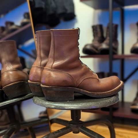 Nicks Robert in Seidel 1964 Brown