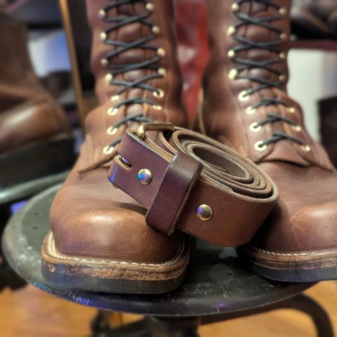 Nicks Robert in Seidel 1964 Brown