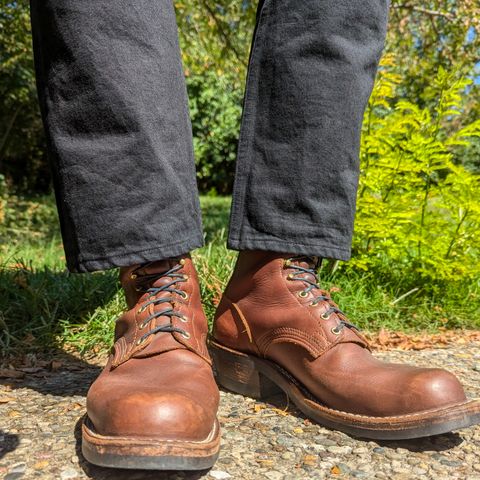 Nicks Robert in Seidel 1964 Brown