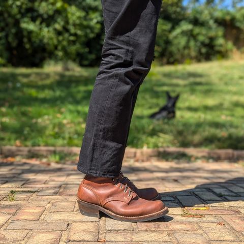 Nicks Robert in Seidel 1964 Brown