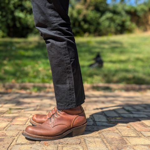 Nicks Robert in Seidel 1964 Brown