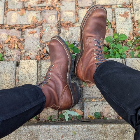 Nicks Robert in Seidel 1964 Brown