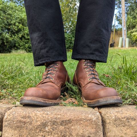 Nicks Robert in Seidel 1964 Brown
