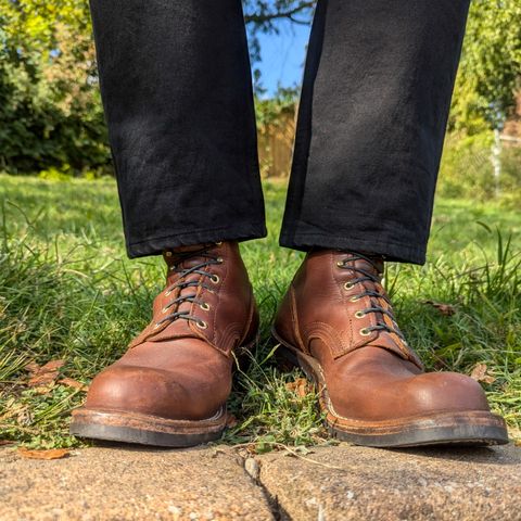 Nicks Robert in Seidel 1964 Brown