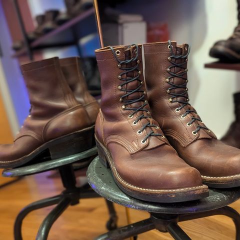 Nicks Robert in Seidel 1964 Brown