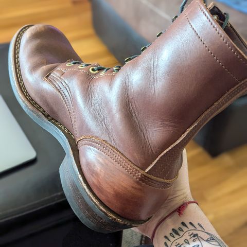 Nicks Robert in Seidel 1964 Brown