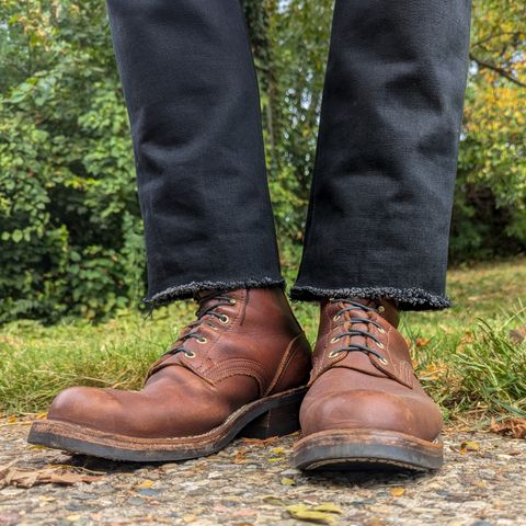 Nicks Robert in Seidel 1964 Brown