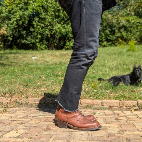 Nicks Robert in Seidel 1964 Brown