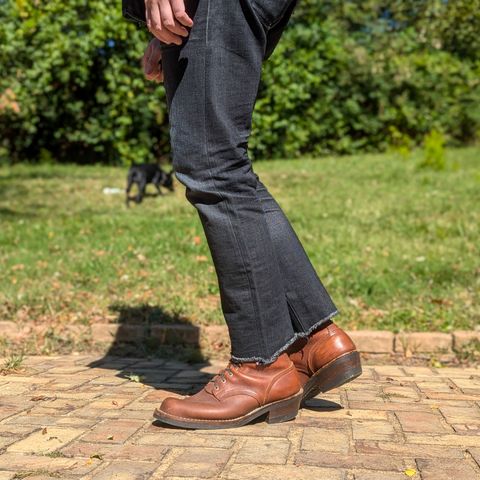 Nicks Robert in Seidel 1964 Brown