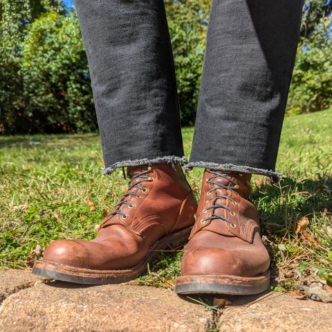 Nicks Robert in Seidel 1964 Brown