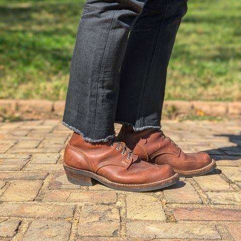 Nicks Robert in Seidel 1964 Brown