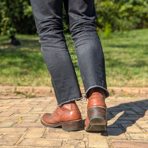 Nicks Robert in Seidel 1964 Brown