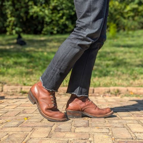 Nicks Robert in Seidel 1964 Brown