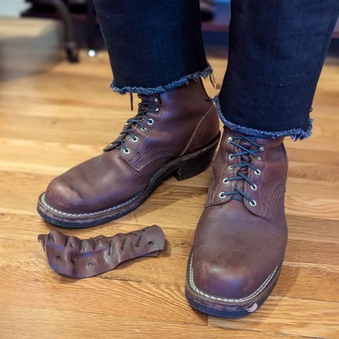 Nicks Robert in Seidel 1964 Brown