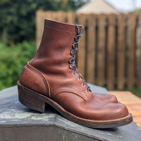 Nicks Robert in Seidel 1964 Brown