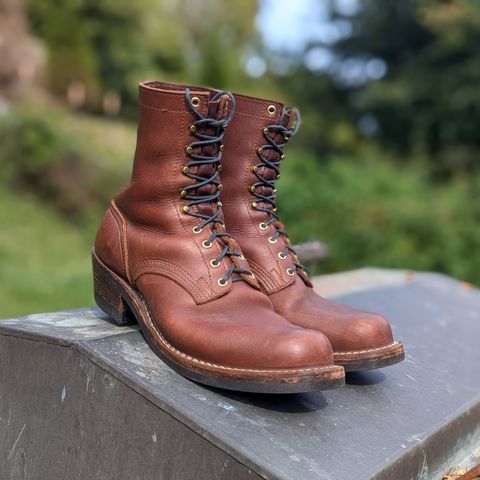 Nicks Robert in Seidel 1964 Brown