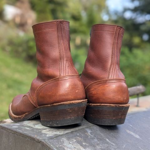 Nicks Robert in Seidel 1964 Brown
