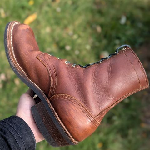 Nicks Robert in Seidel 1964 Brown
