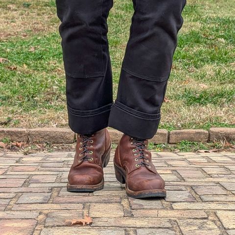 Nicks Robert in Seidel 1964 Brown