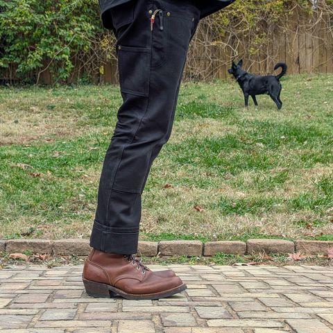 Nicks Robert in Seidel 1964 Brown
