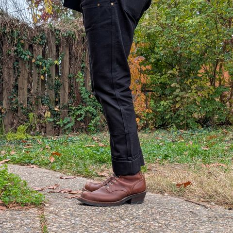 Nicks Robert in Seidel 1964 Brown