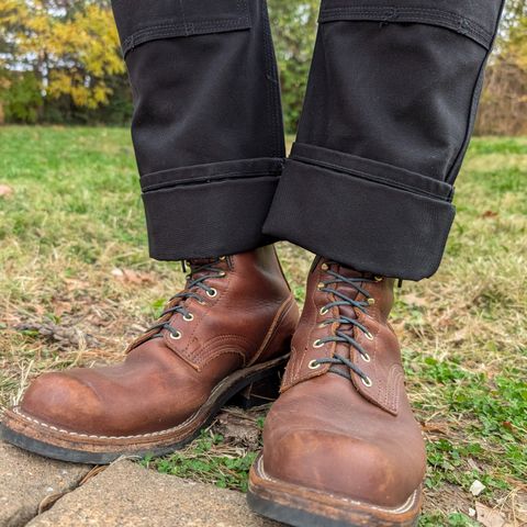 Nicks Robert in Seidel 1964 Brown