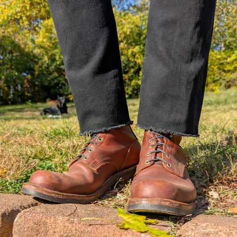 Nicks Robert in Seidel 1964 Brown