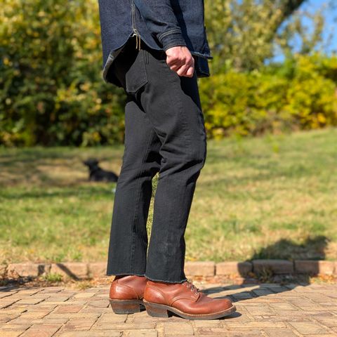 Nicks Robert in Seidel 1964 Brown