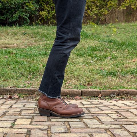 Nicks Robert in Seidel 1964 Brown