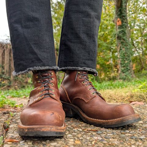 Nicks Robert in Seidel 1964 Brown