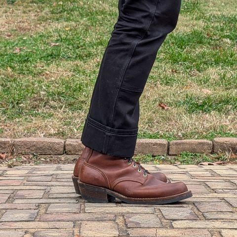 Nicks Robert in Seidel 1964 Brown