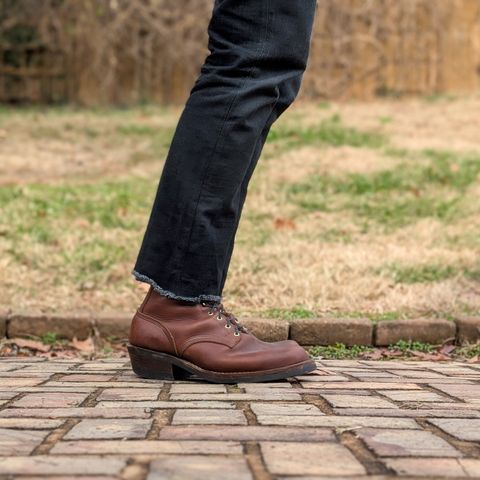 Nicks Robert in Seidel 1964 Brown
