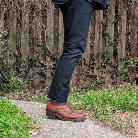Nicks Robert in Seidel 1964 Brown