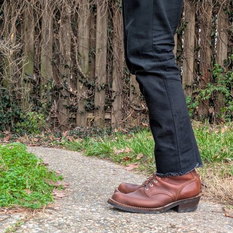 Nicks Robert in Seidel 1964 Brown