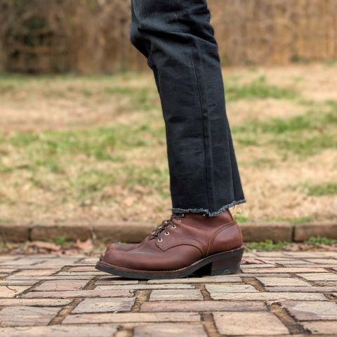 Nicks Robert in Seidel 1964 Brown
