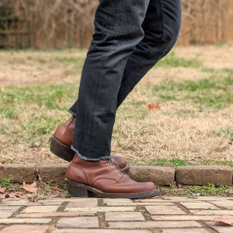Nicks Robert in Seidel 1964 Brown