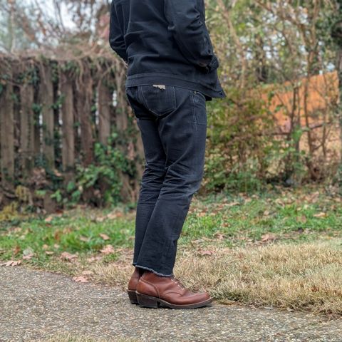 Nicks Robert in Seidel 1964 Brown