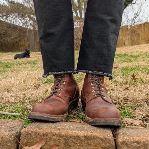 Nicks Robert in Seidel 1964 Brown