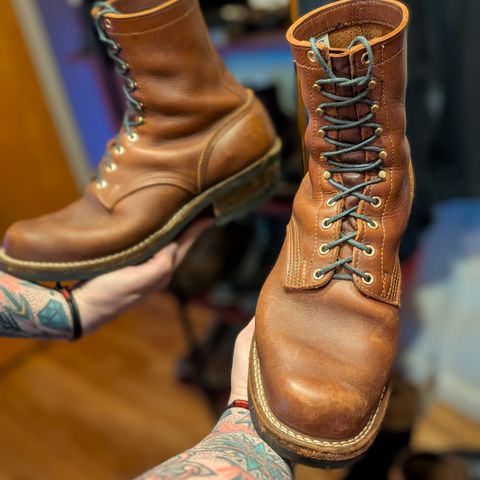 Nicks Robert in Seidel 1964 Brown
