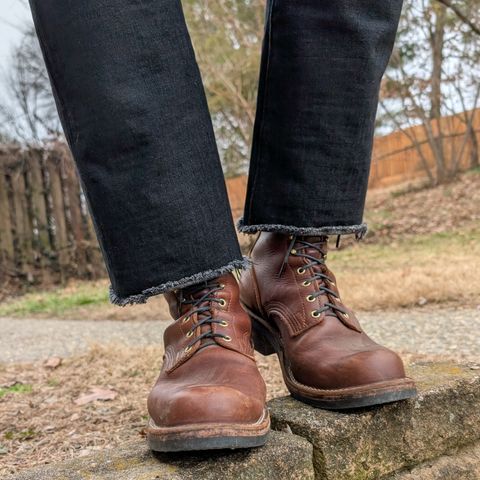 Nicks Robert in Seidel 1964 Brown