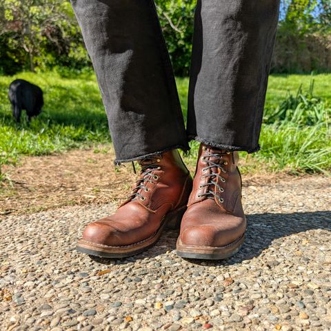 Nicks Robert in Seidel 1964 Brown