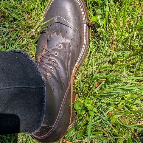 Frank's Custom Model in Seidel Mocha Oil Tan