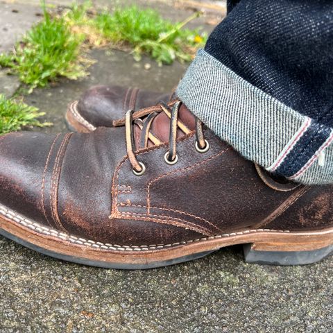 Search result thumbnail of Truman Service Boot in Horween Brown Waxed Flesh