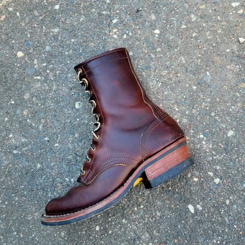 Nicks Ranger in Wickett & Craig Buck Brown Double Stuffed