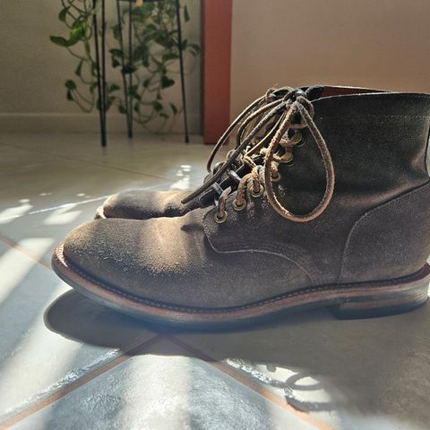 View photo of Grant Stone Diesel Boot in C.F. Stead Loden Janus Calf Suede