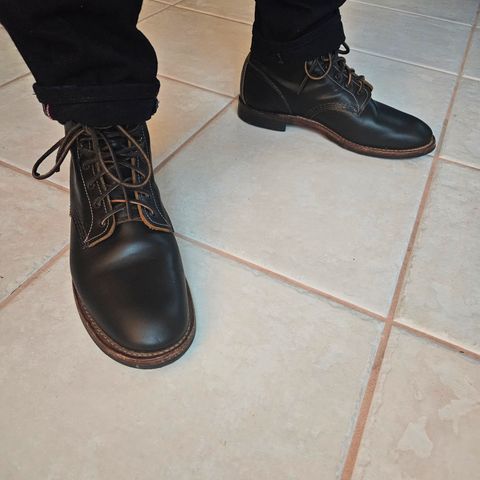 Red Wing Beckman Flatbox in S.B. Foot Black Klondike