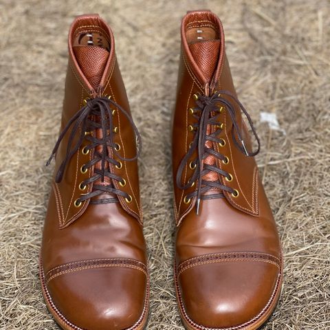 Iron Boots 5515 in Maryam Brown Shell Cordovan