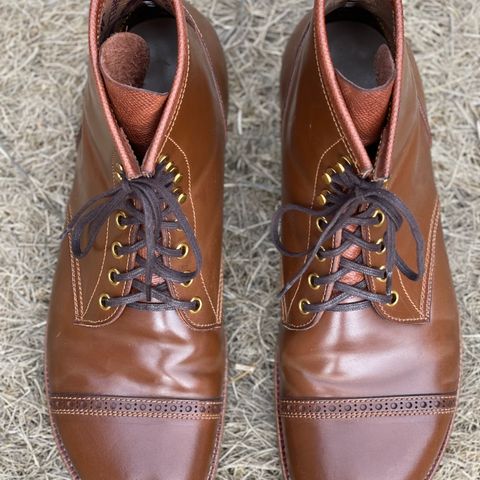 Iron Boots 5515 in Maryam Brown Shell Cordovan