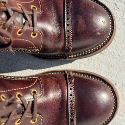 Iron Boots Iron Dragon in Seidel Brown Double Shot