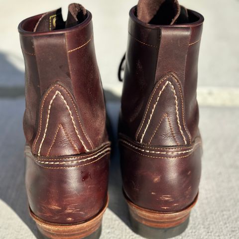 Iron Boots Iron Dragon in Seidel Brown Double Shot